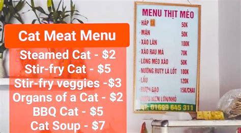 can dogs eat monde mamon|Eating Dog and cat in Vietnam .
